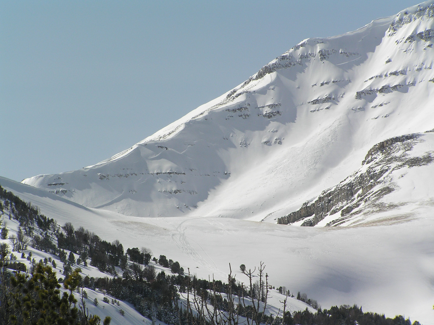 Cedar Mountain Crown Lines