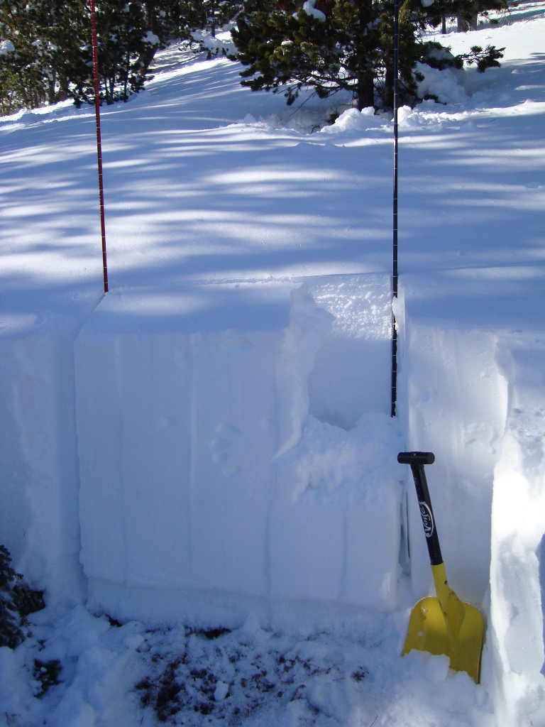 Flanders Snowpit