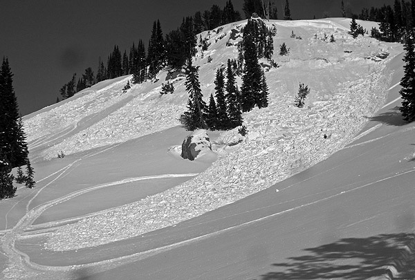 Sheep Creek Avalanche