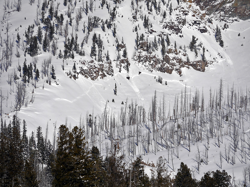 Natural Avalanche Cooke City