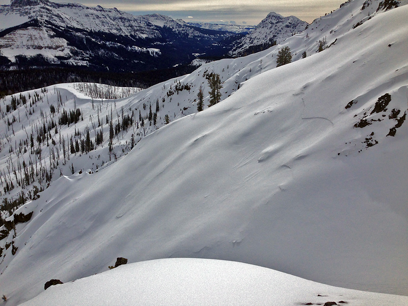 PebbleCreek - YNP