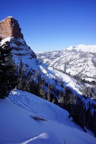 Sphinx Mountain Avalanche