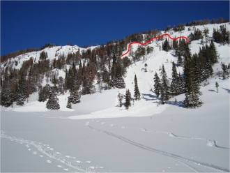 Beehive Basin Avalanche